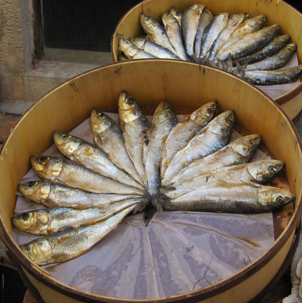 trhy mallorca ryby