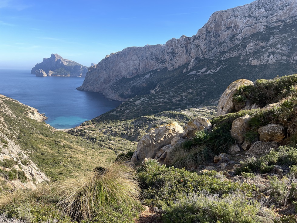 Puerto Pollenca