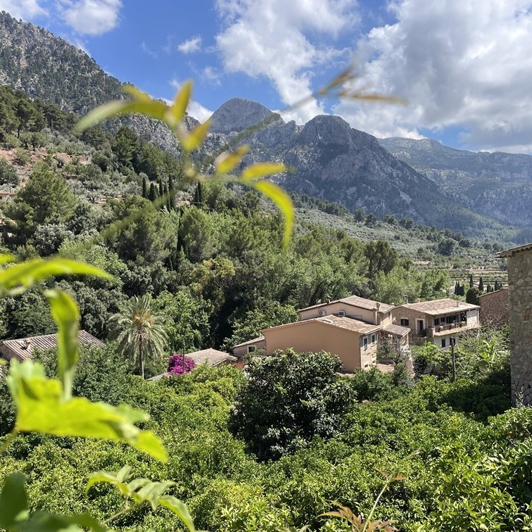 Mallorca s CK Axamit