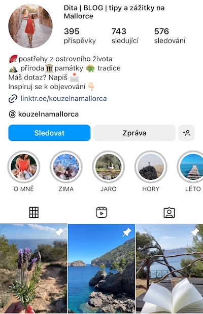 Instagram - náhled profilu