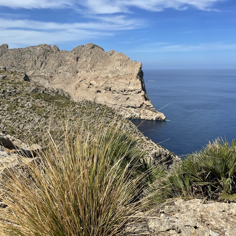 Periscope Mallorca