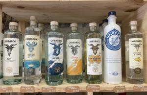 Gin Soller